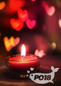 玲珑阁秘事（古代NP）