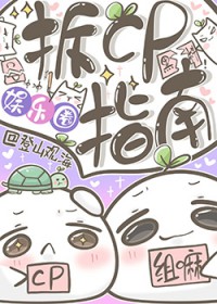 拆CP指南[娱乐圈]